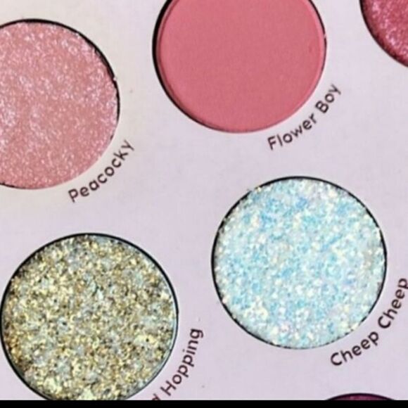 New! Love Bird Eyeshadow Palette. - Picture 4 of 12